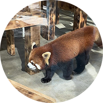 장혜민(집단상담 주임)